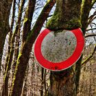 Baum frisst Schild