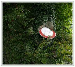 Baum frißt Schild