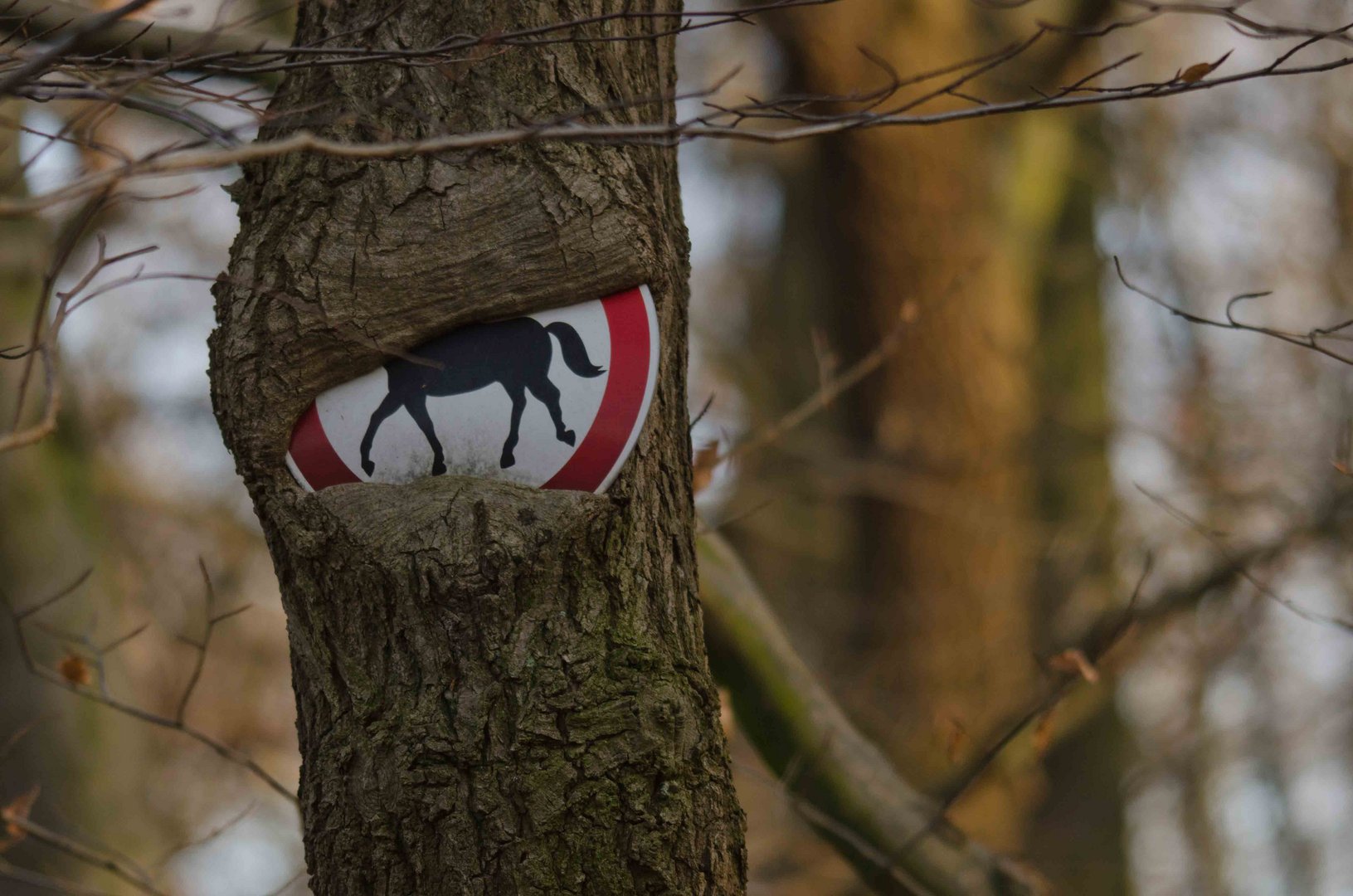 Baum frisst Schild ;)