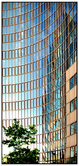 Baum gegen Bauwerk ("Platinum" 5 in Berlin (Schöneberg))