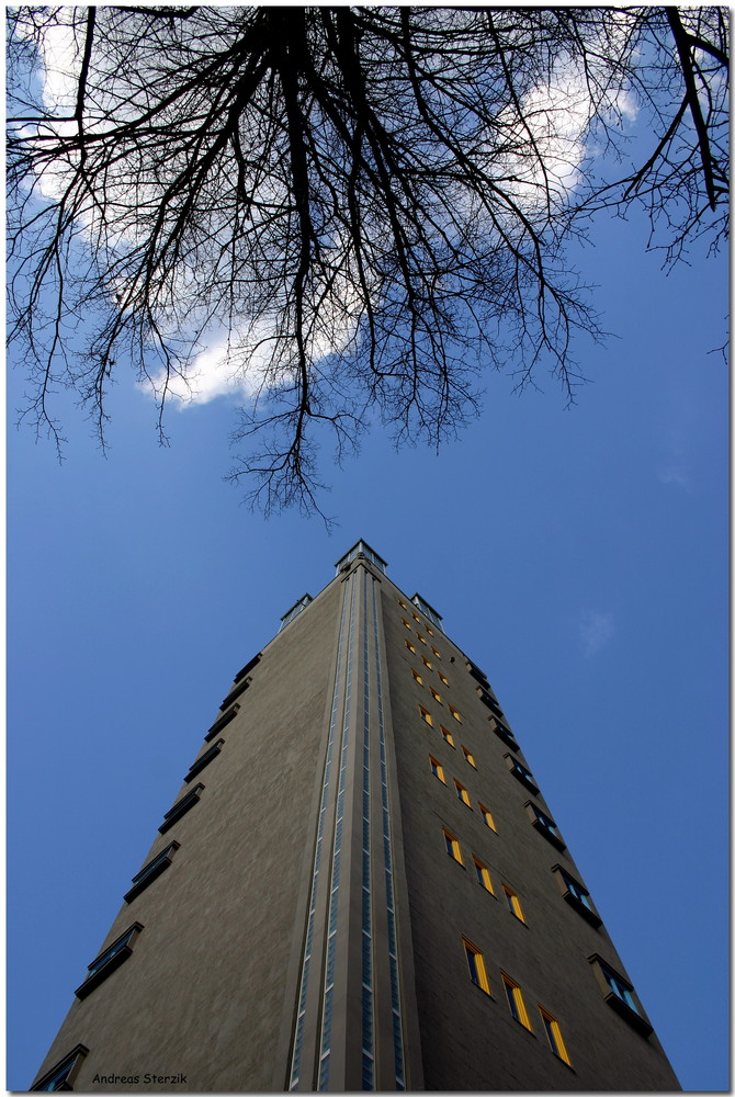 Baum gegen Turm