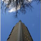 Baum gegen Turm