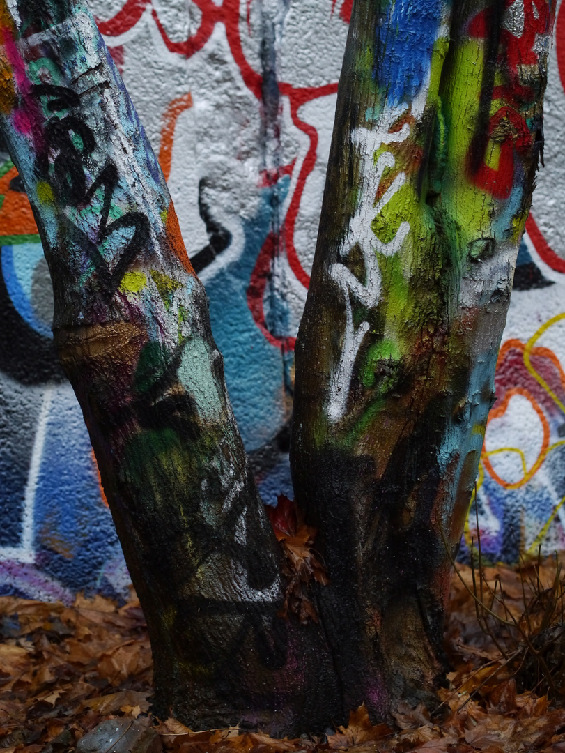 Baum - graffitisiert