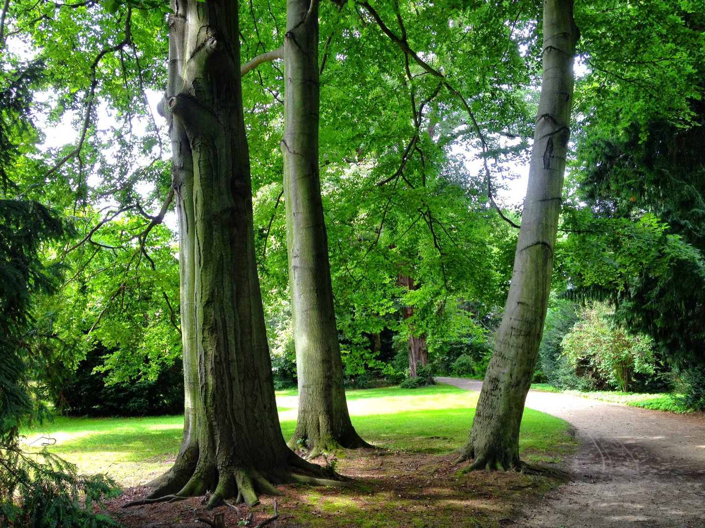 (Baum-)Gruppenfoto