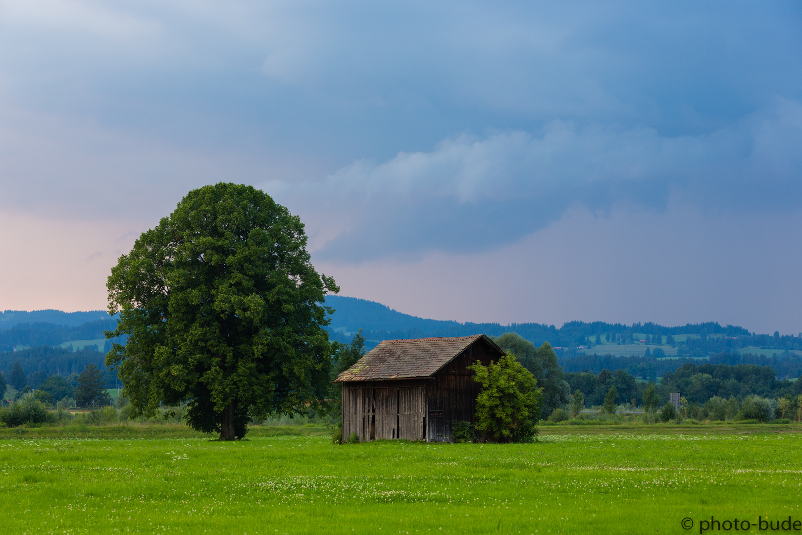 Baum - Haus