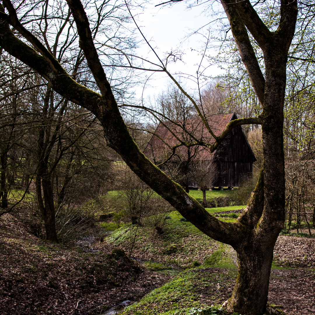 Baum-Haus im Freilichtmuseum Detmold