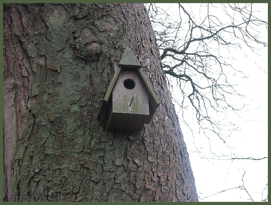 Baum-Haus zu vermieten