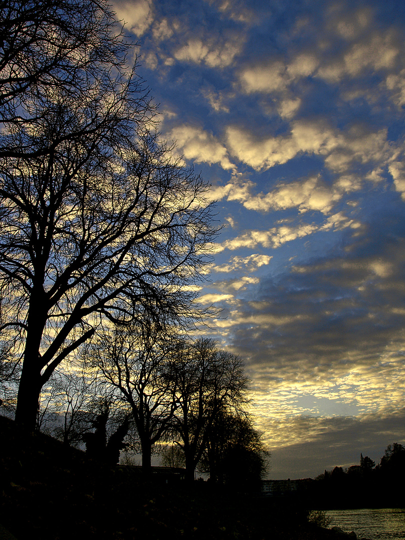 Baum-Himmel