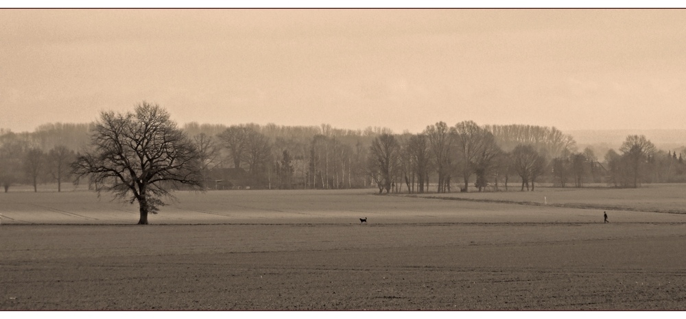 Baum Hund Herrchen