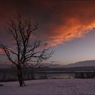 ~ Baum im Abendrot II ~