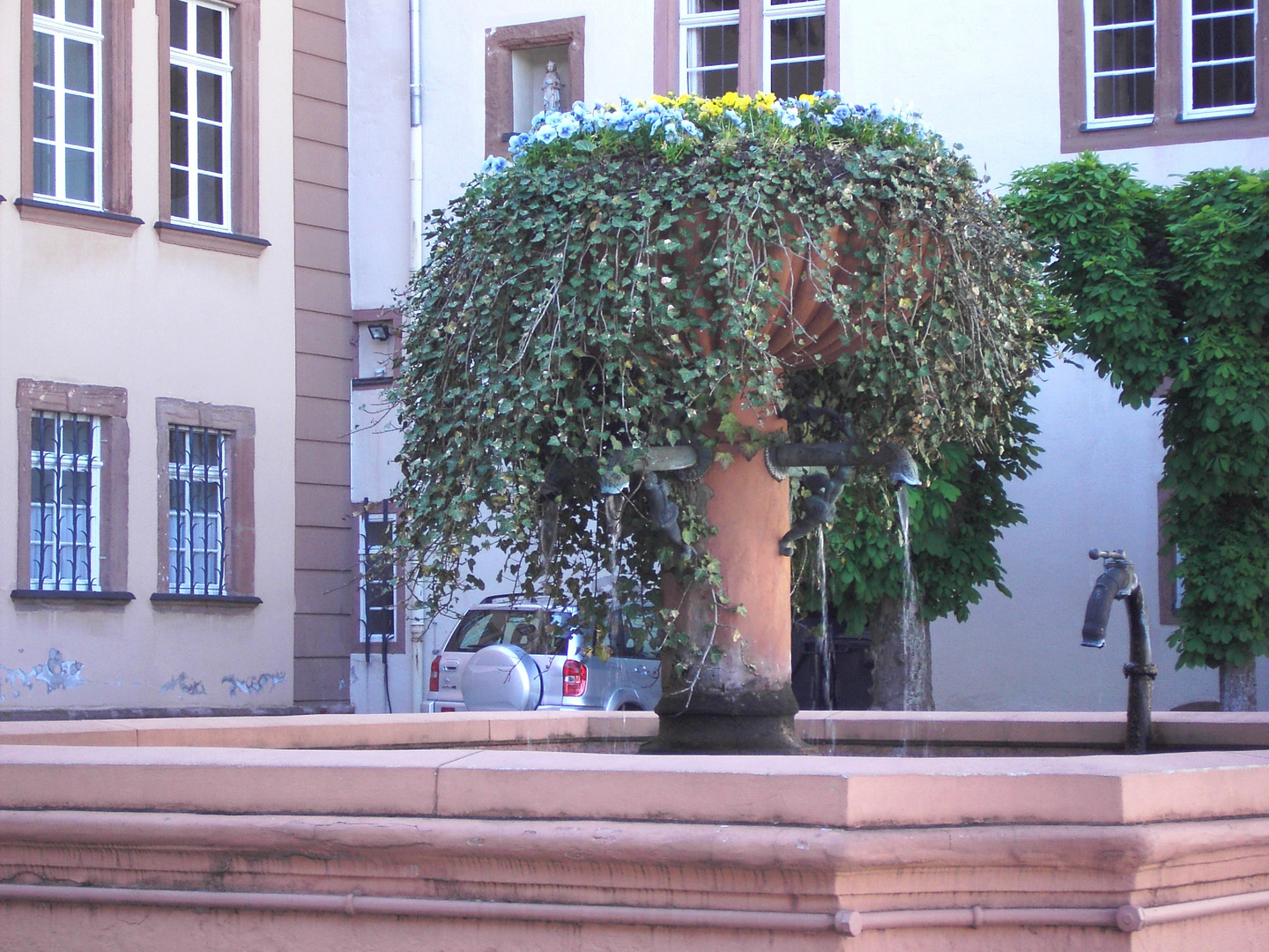 Baum im Berleburger Schlosspark