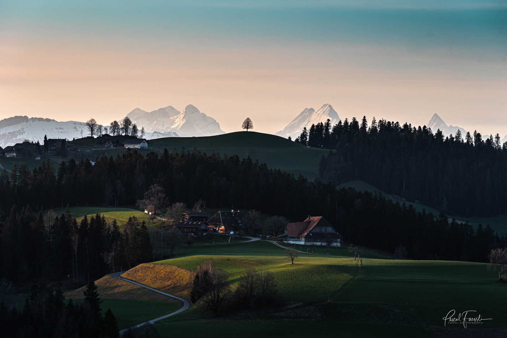 Baum im Emmental und Schreckhorn 