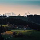 Baum im Emmental und Schreckhorn 