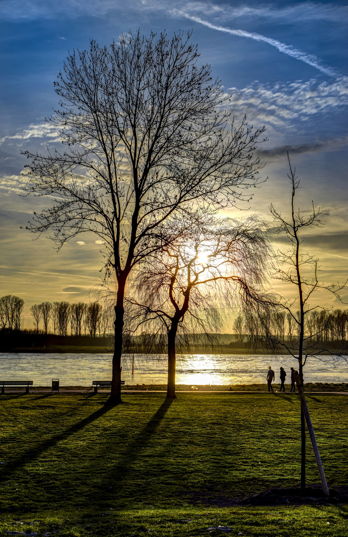 Baum im Farbenmeer