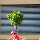 Baum im Fenster und das Kind