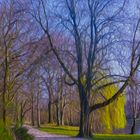 Baum im Frühling