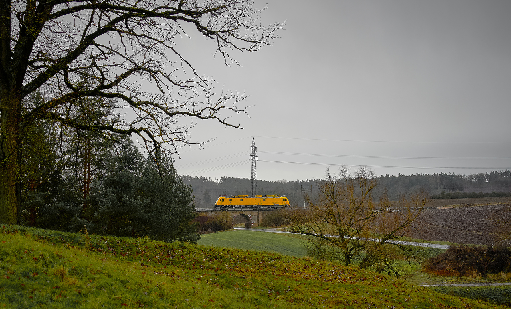 Baum im Gleis