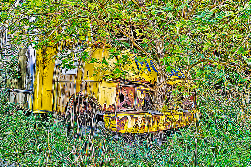 Baum im LKW