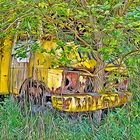 Baum im LKW