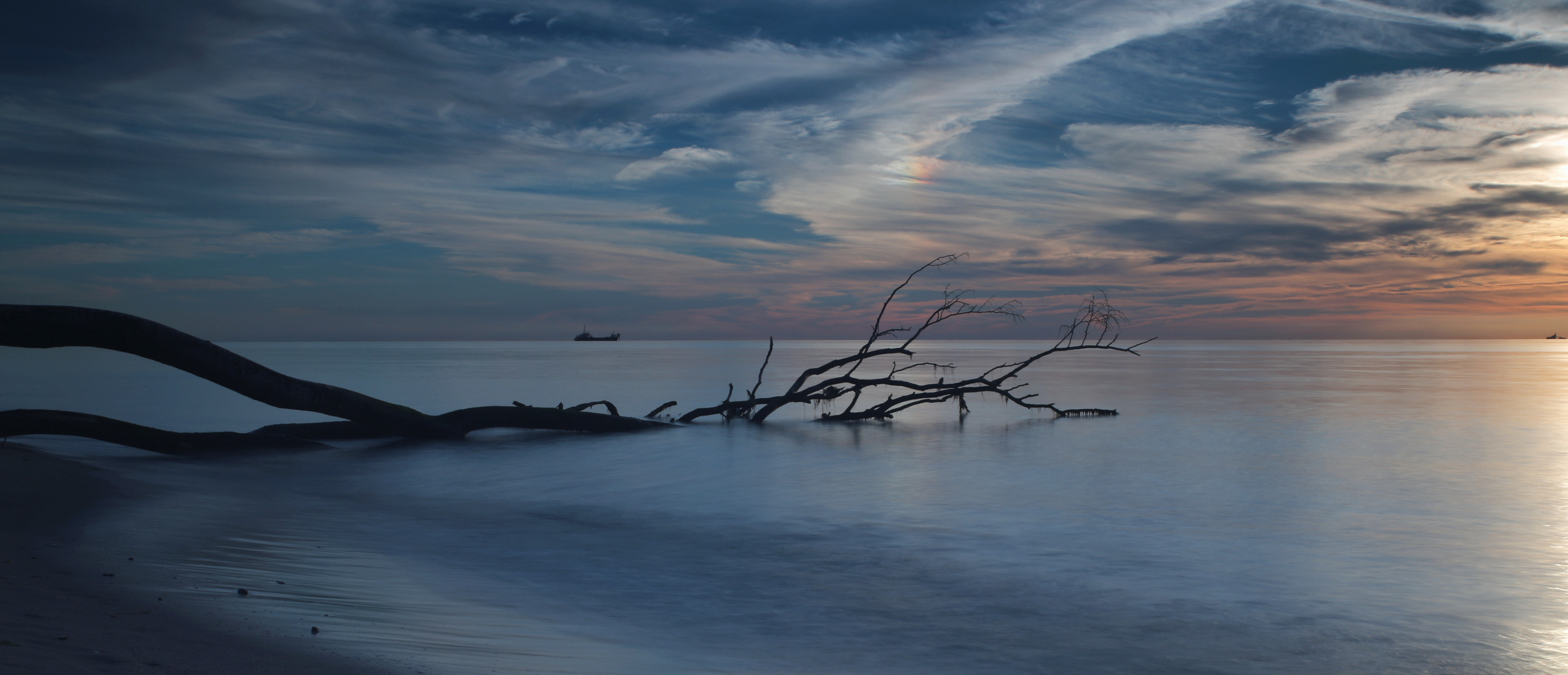 Baum im Meer