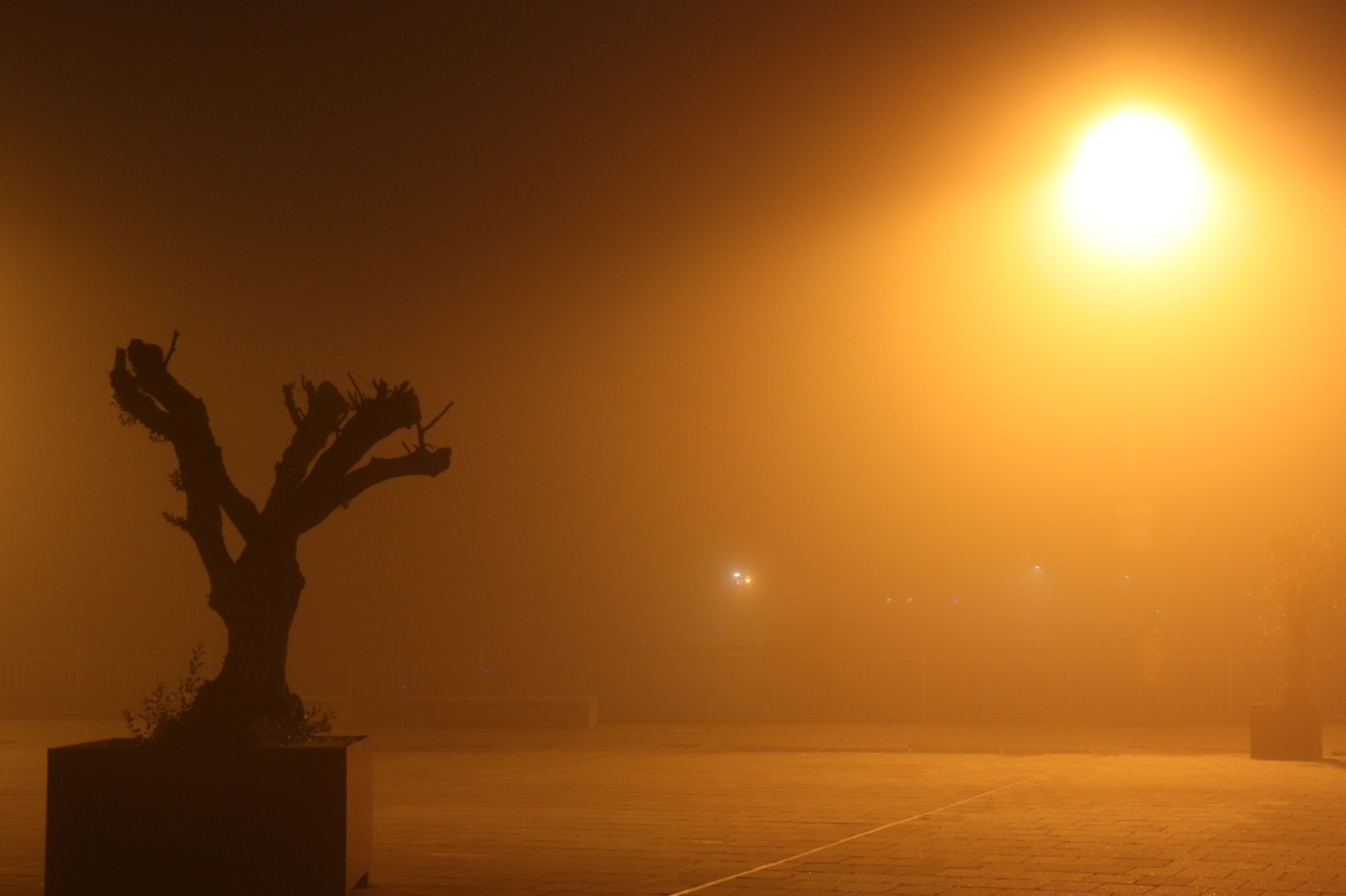 Baum im Nebel