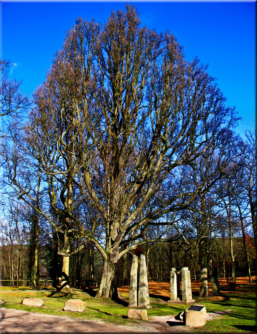 BAUM IM NOVEMBER