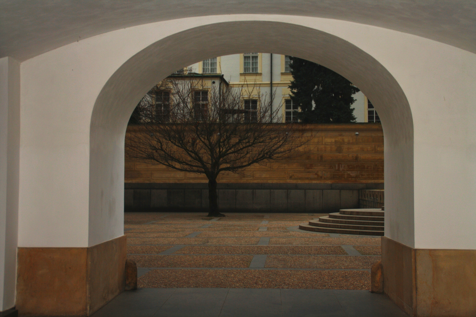 Baum im November