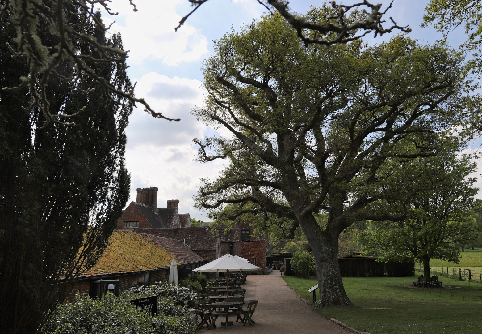 Baum im Park (2019_05_02_EOS 6D Mark II_1887_ji)