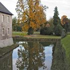 Baum im Schloss Dyck