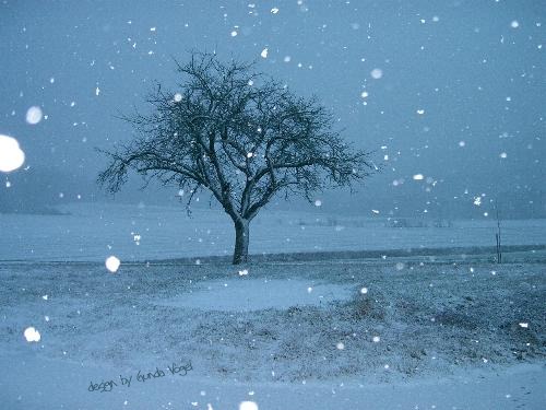 Baum im Schneetreiben