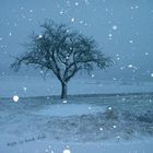 Baum im Schneetreiben