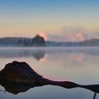 Baum im See