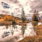 Baum im See - farbige Dolomiten