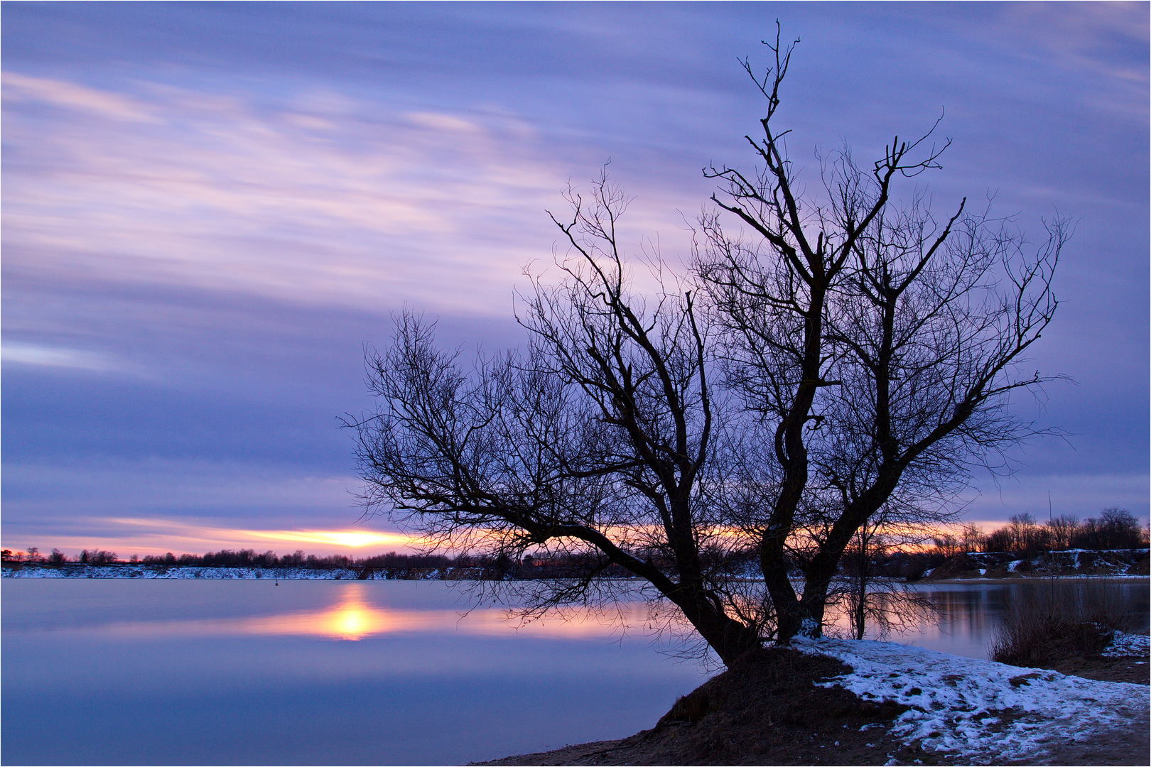 Baum im Sonnenuntergang...