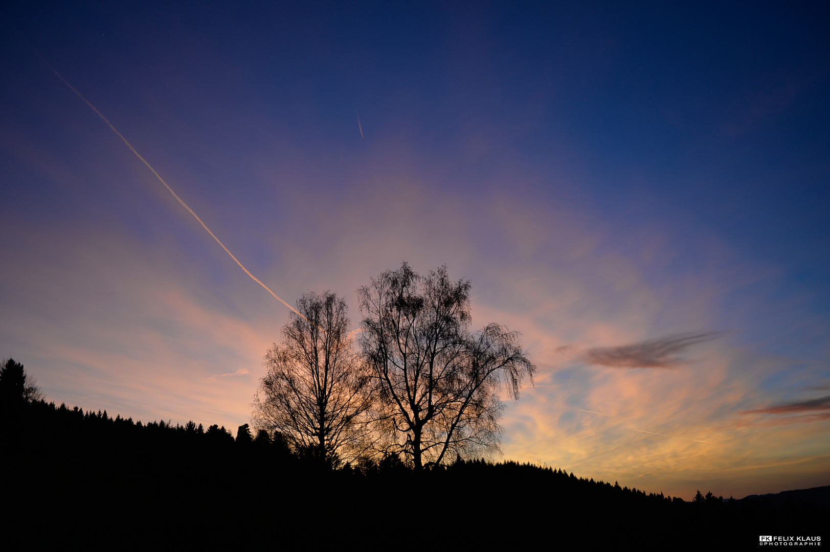 Baum im Sonnenuntergang