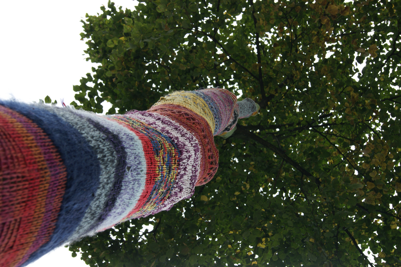 Baum im Strickmantel