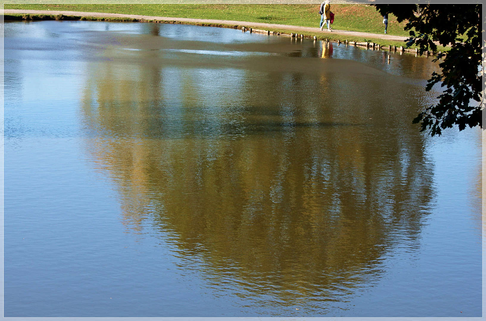 Baum im Teich