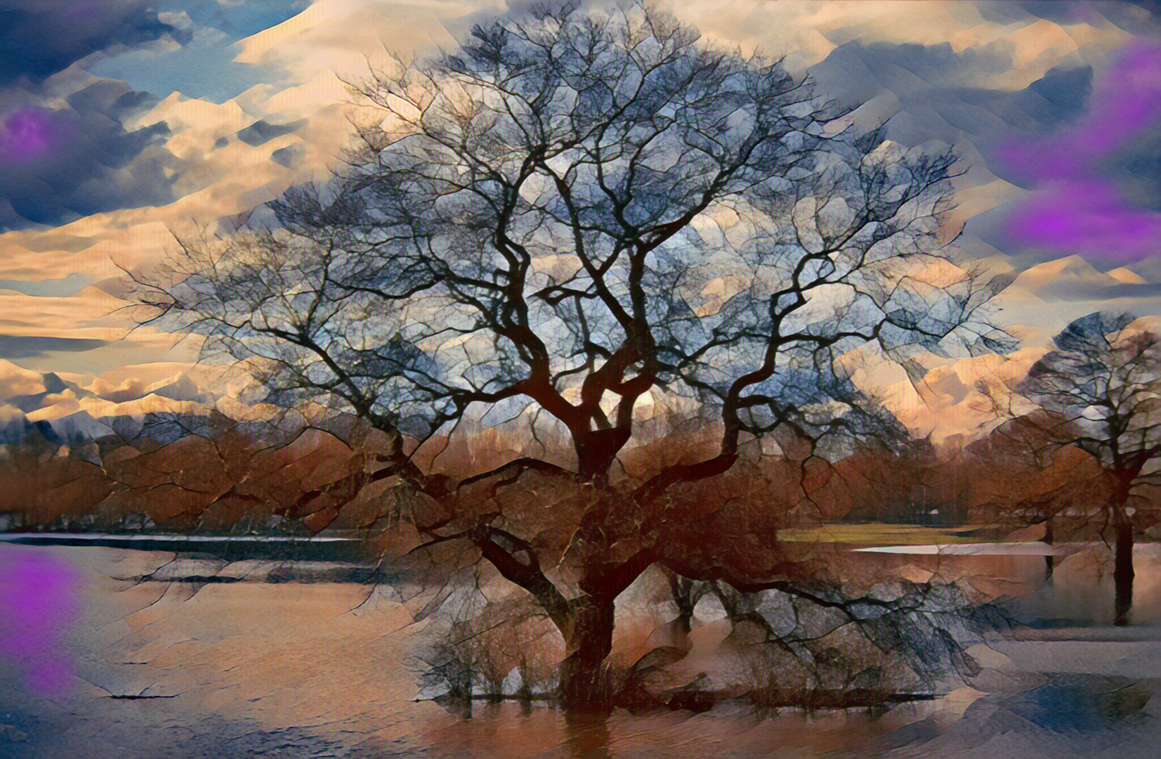 Baum im Wasser