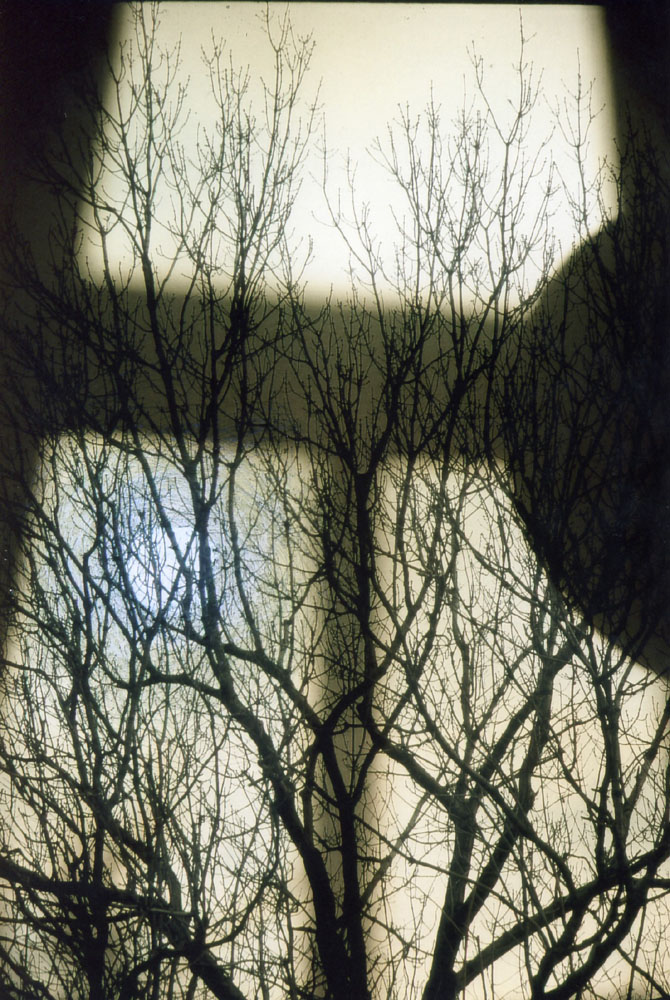 Baum Im Zimmer Foto Bild Sonnenuntergange Himmel Universum Foto Bilder Auf Fotocommunity