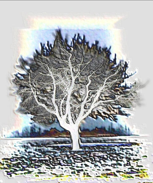 Baum in 3ter  Dimension