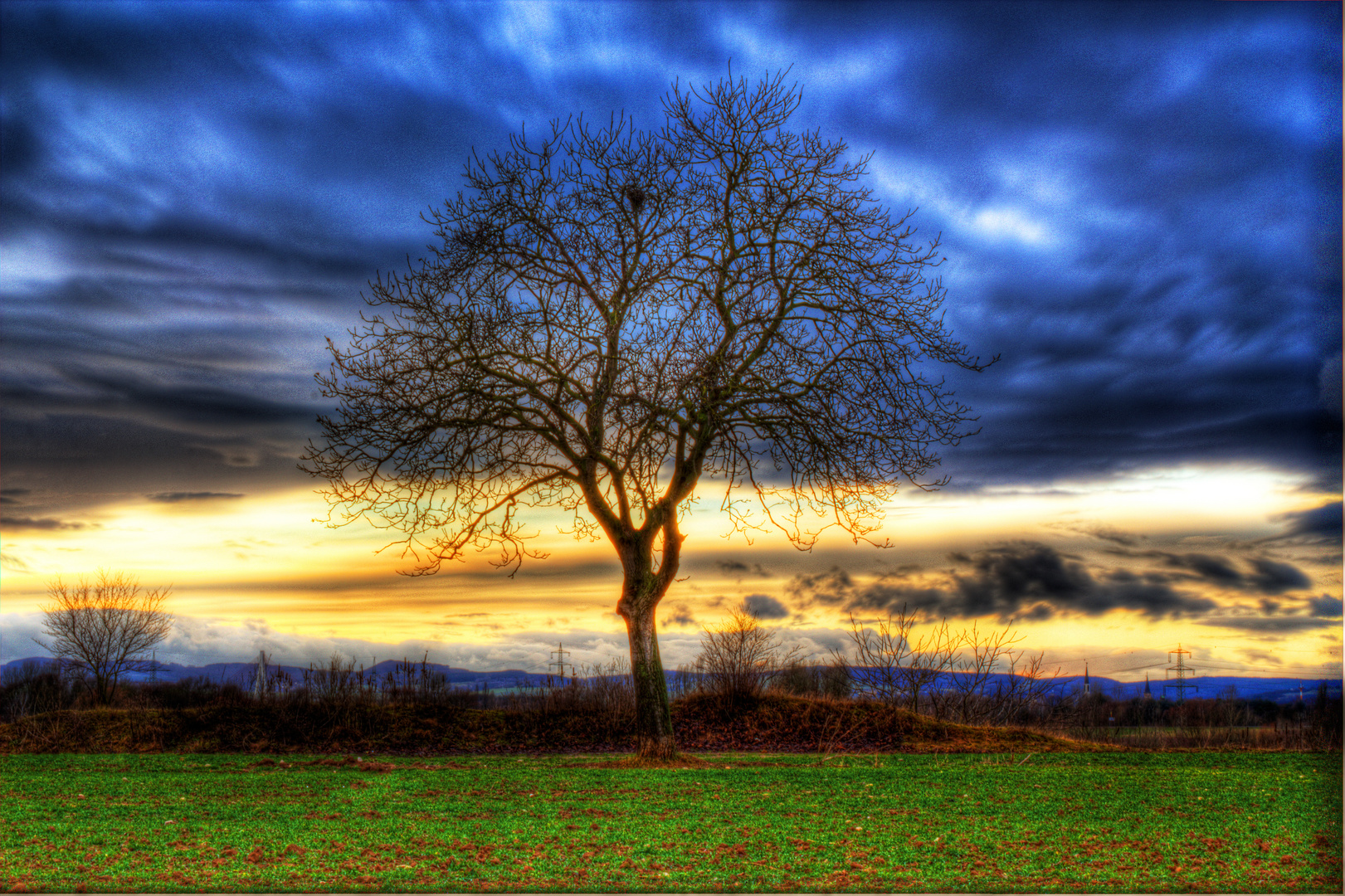 Baum in Abendstimmung