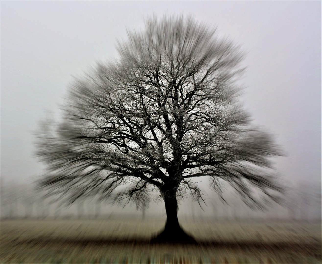 Baum in Bewegung