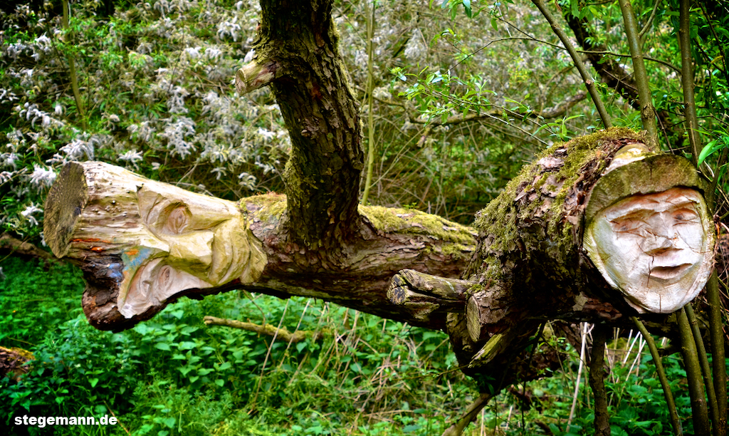 Baum in Billerbeck Münsterland