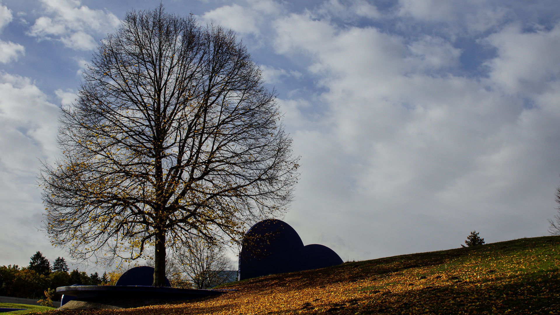 Baum in den Wolken