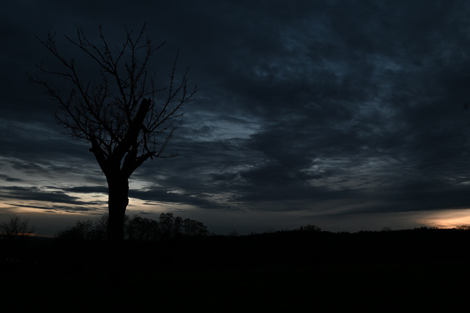 Baum in der blauen Stunde