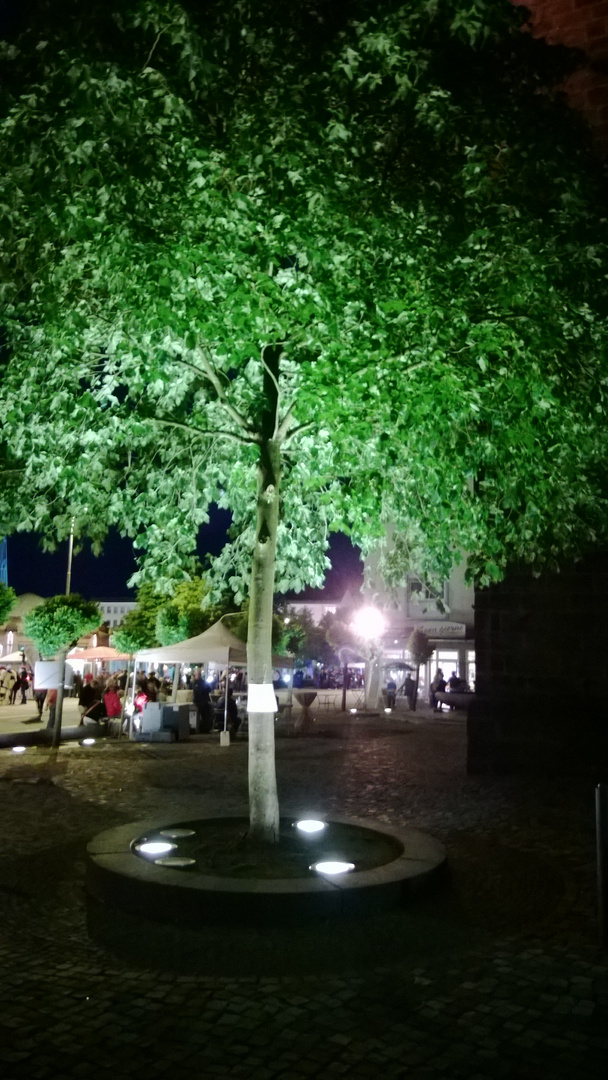 Baum in der Stadt bei Nacht