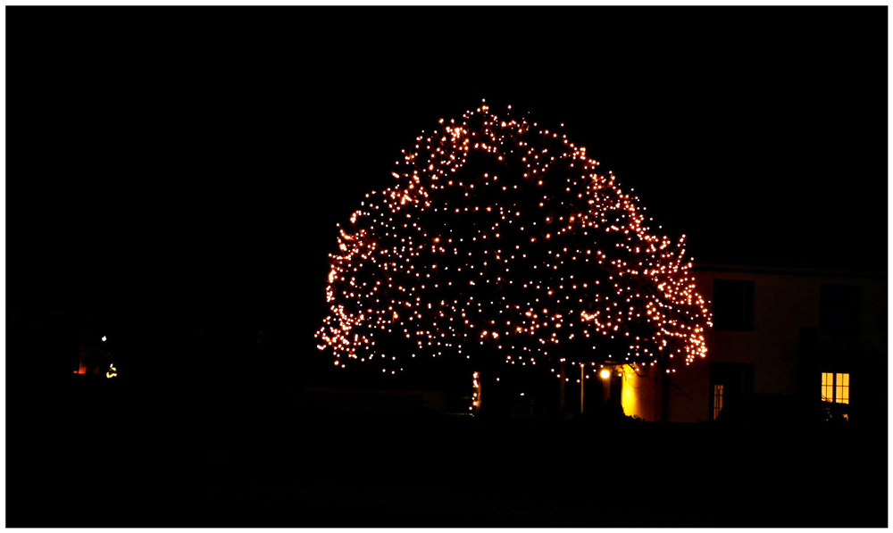 Baum in der Weihnachtszeit