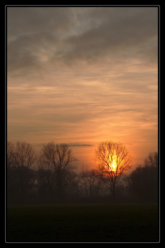 Baum in Flammen