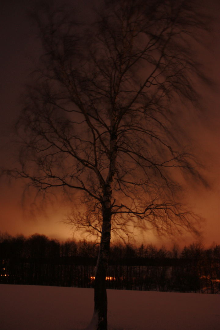 Baum in flammen