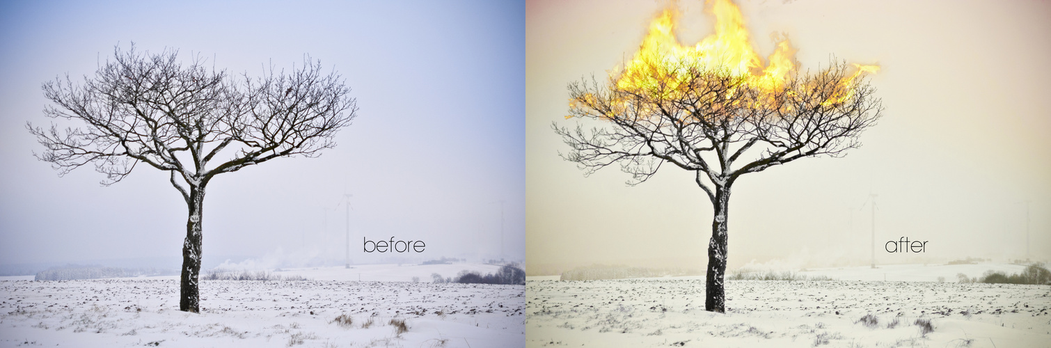 Baum in Flammen before and after